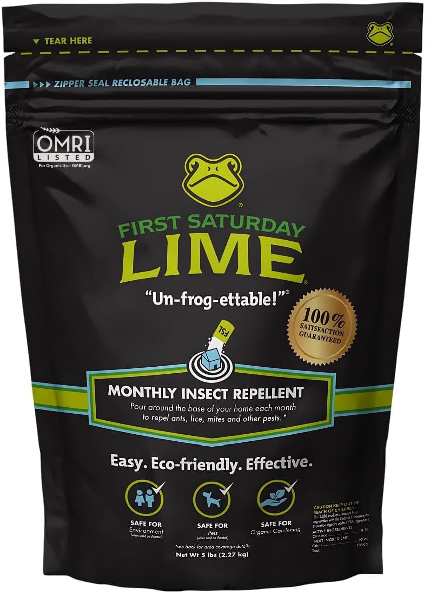 80 Ounce (Pack of 1)