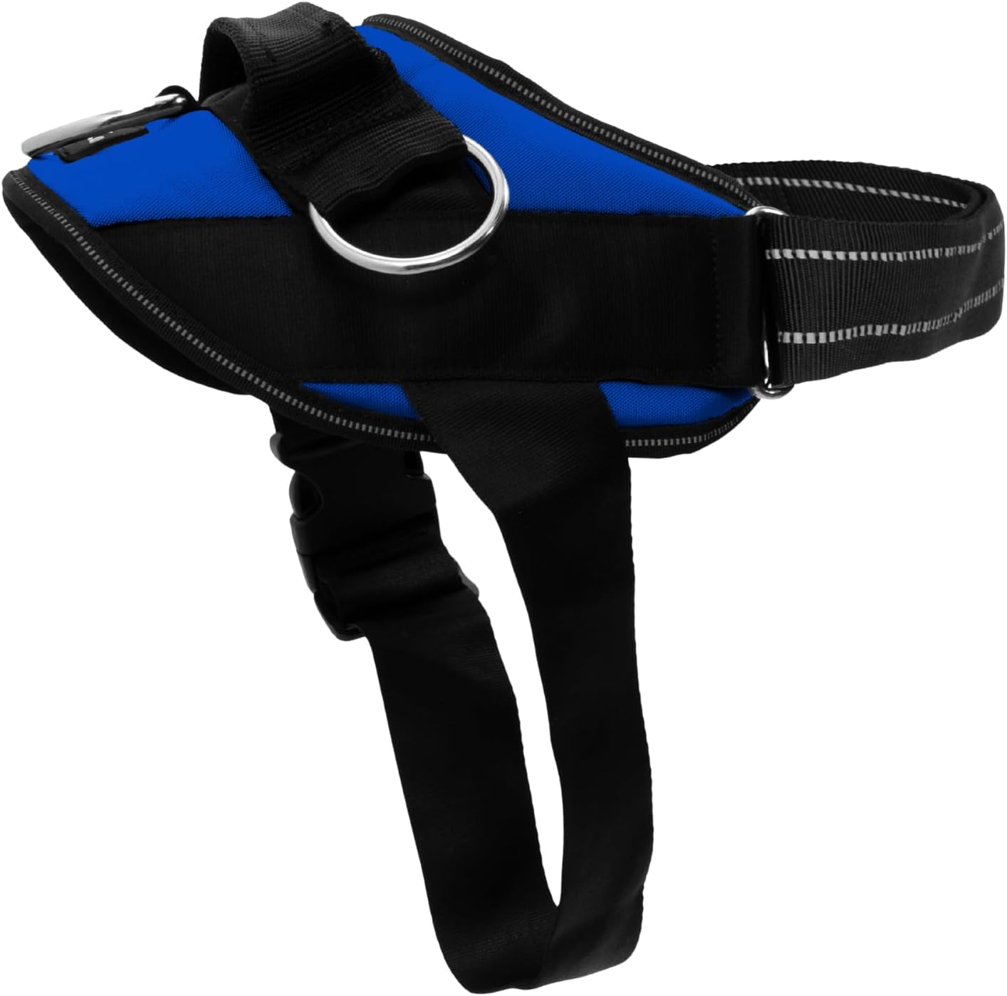 Electric Blue,XL
