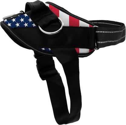 Stars and Stripes,S
